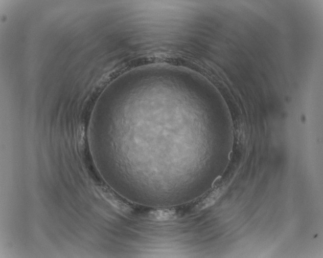 X0000070360660200606091033