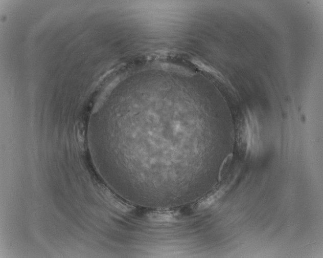 X0000070360661200606091033