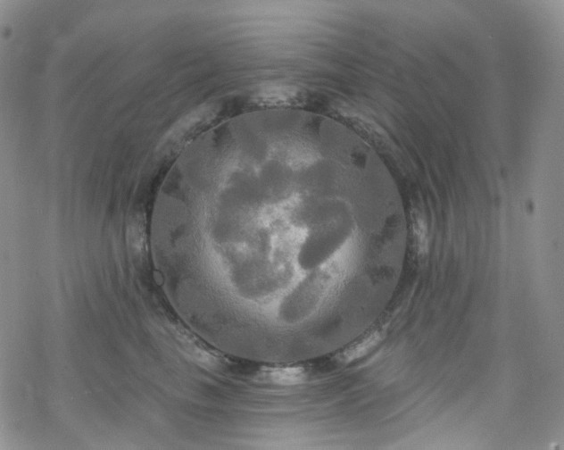 X0000070360665200606091033