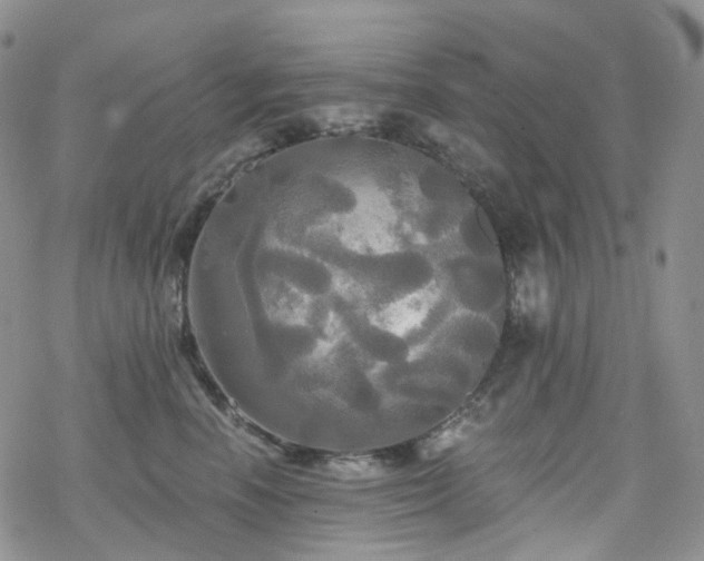 X0000070360666200606091033