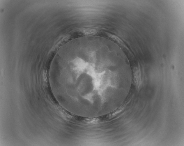 X0000070360667200606091033