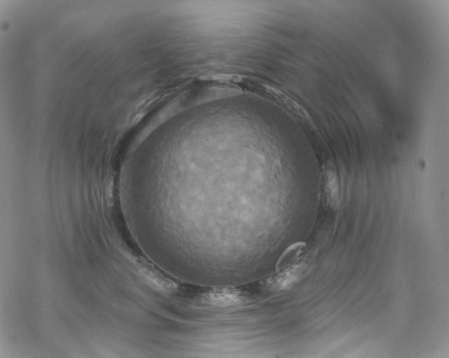 X0000070360668200606091033