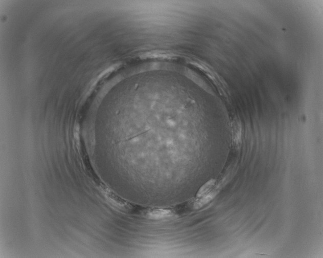 X0000070360669200606091033