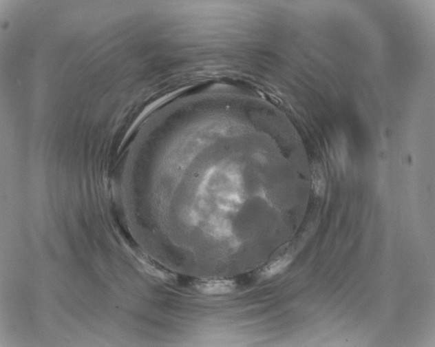 X0000070360670200606091033