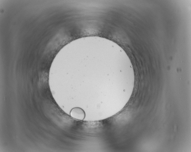 X0000070360672200606091033