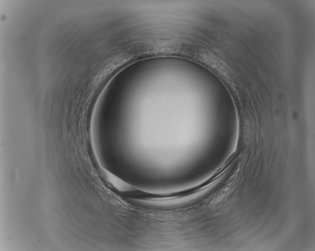 X0000070360673200606091032