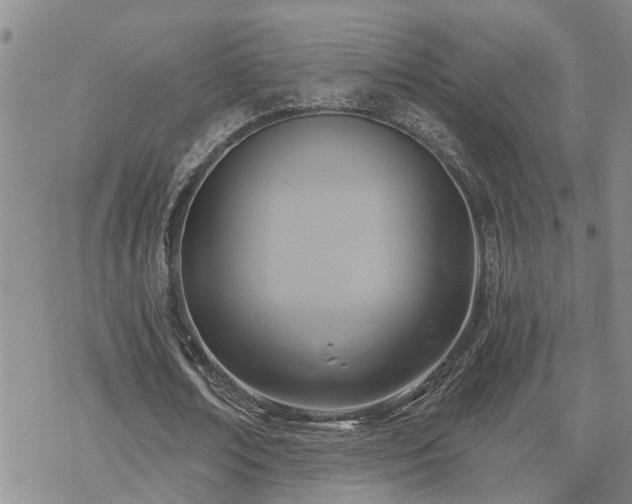 X0000070360674200606091032