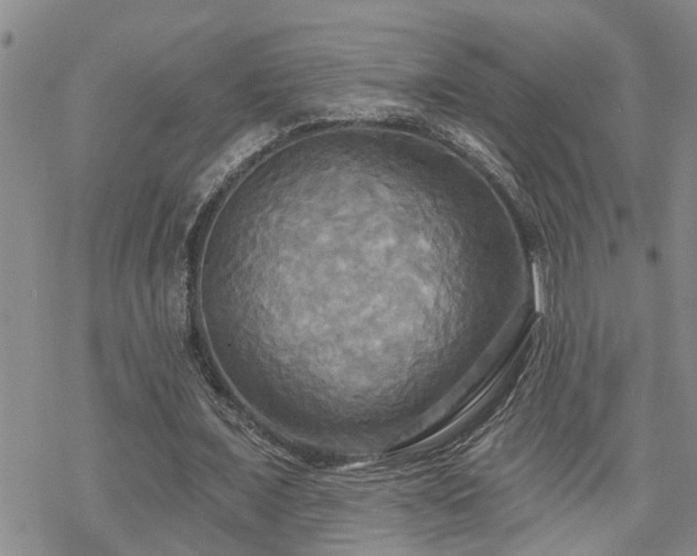 X0000070360675200606091032