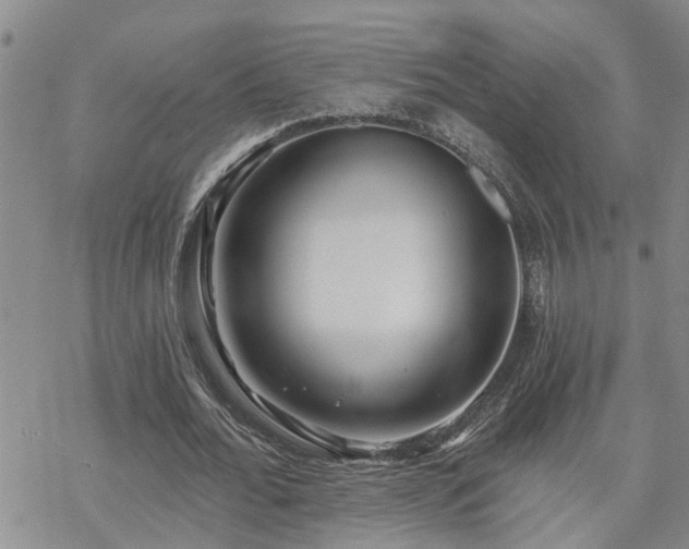 X0000070360676200606091032