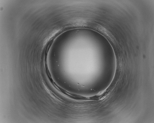 X0000070360677200606091032