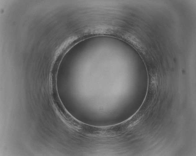 X0000070360678200606091032