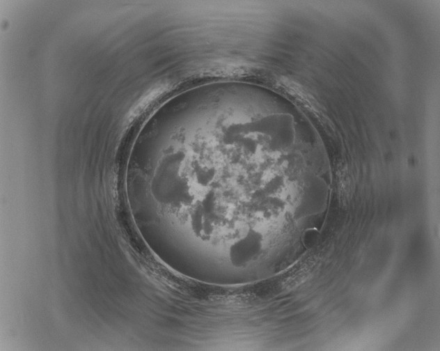 X0000070360679200606091032