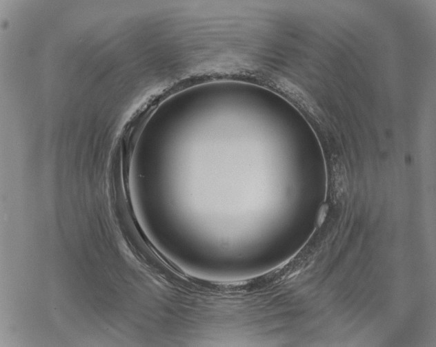 X0000070360680200606091032