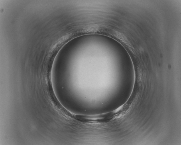 X0000070360681200606091032