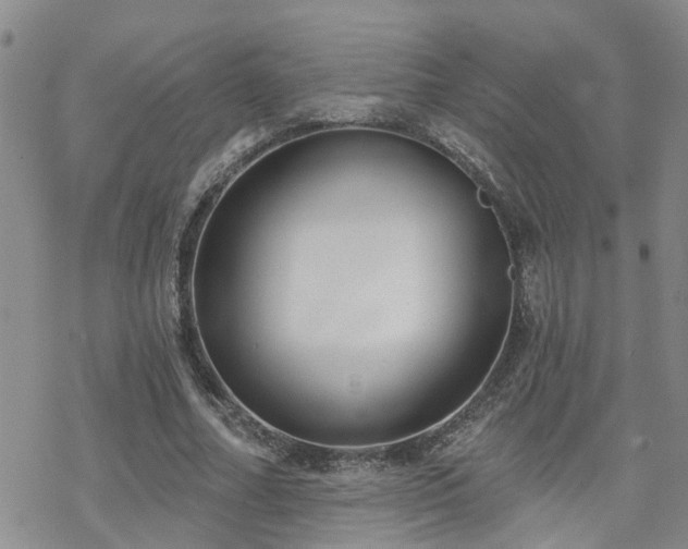 X0000070360682200606091032