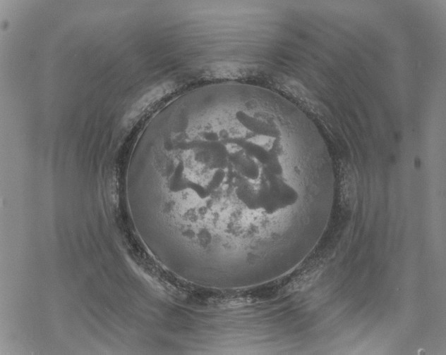 X0000070360683200606091032