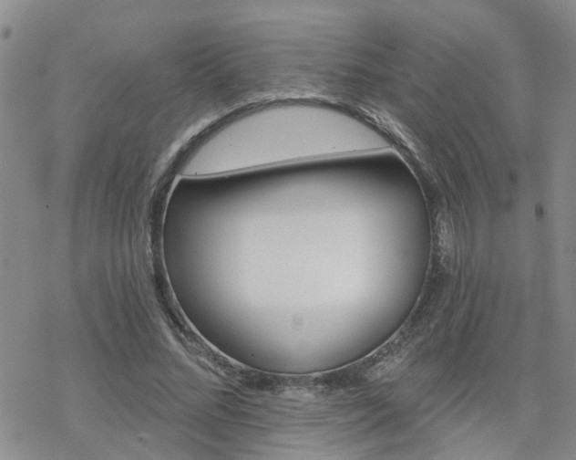 X0000070360684200606091032