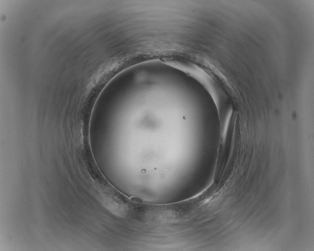 X0000070360685200606091032