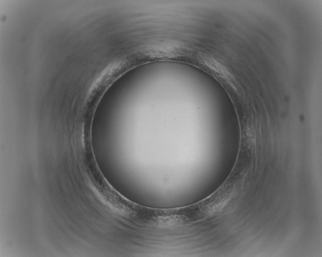 X0000070360686200606091032