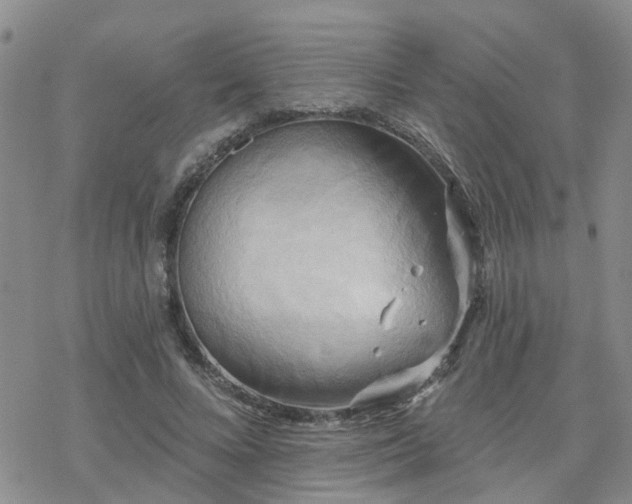 X0000070360688200606091032