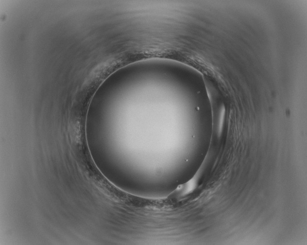 X0000070360689200606091032