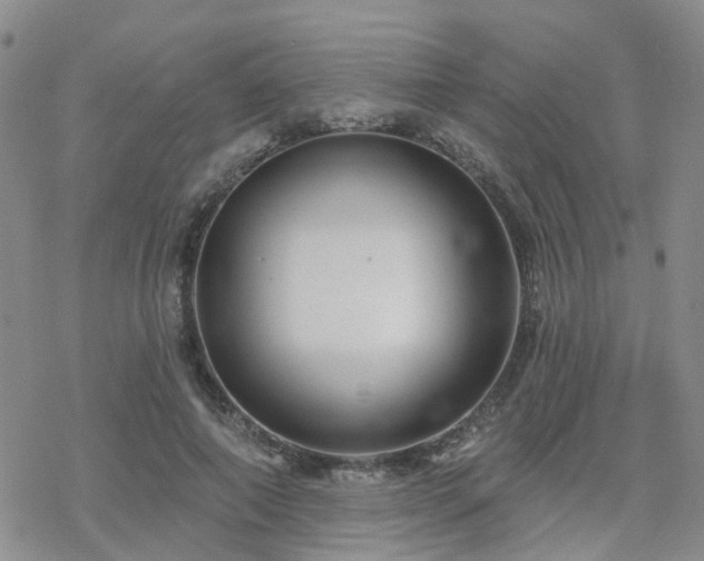 X0000070360690200606091032