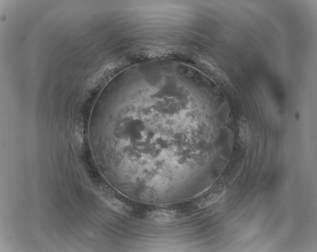 X0000070360691200606091032