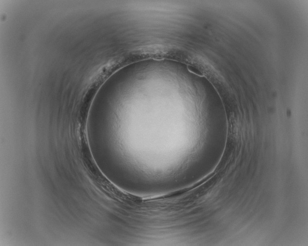 X0000070360692200606091032