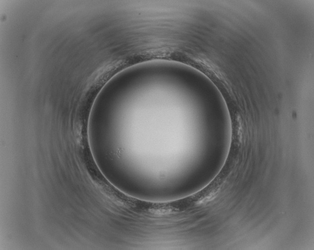 X0000070360693200606091032