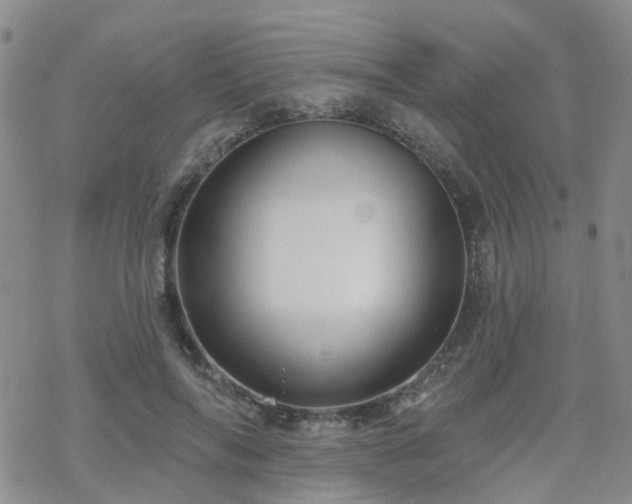 X0000070360694200606091032