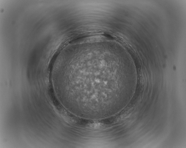 X0000070360695200606091032