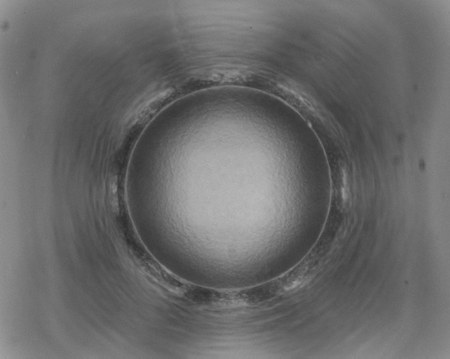 X0000070360696200606091032