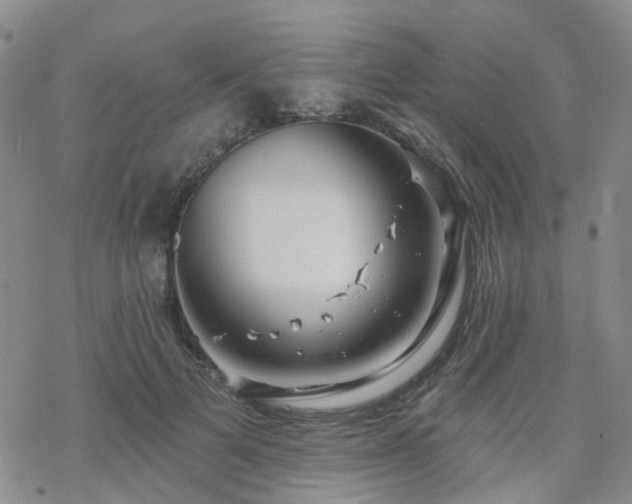 X0000070360697200606091032