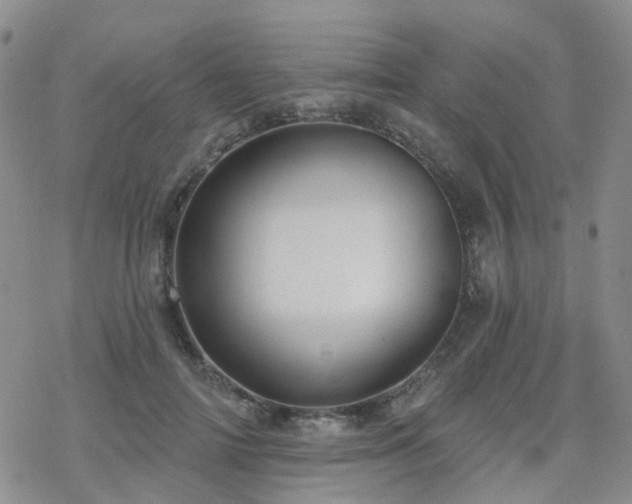 X0000070360698200606091032