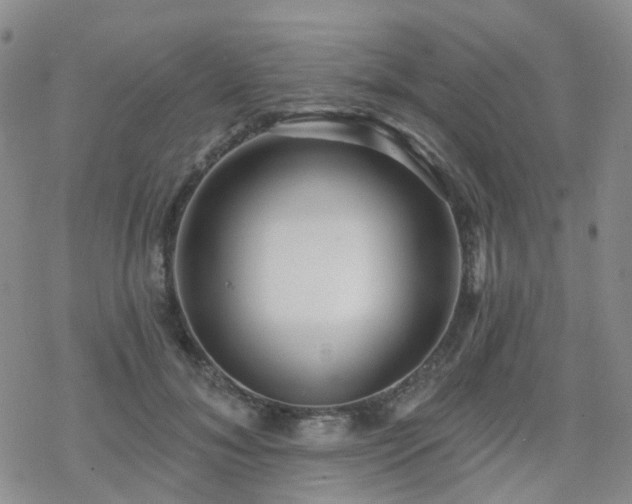 X0000070360700200606091032