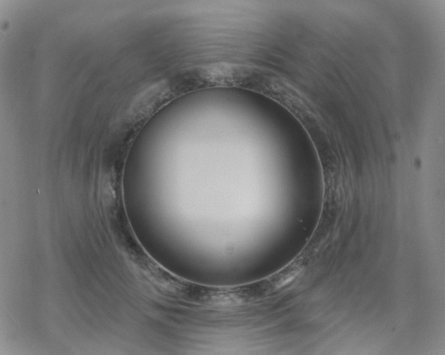 X0000070360702200606091032