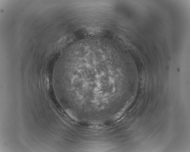 X0000070360703200606091032