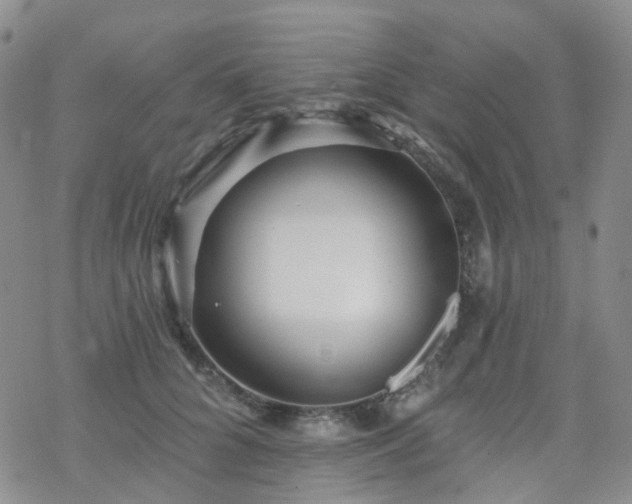 X0000070360704200606091032