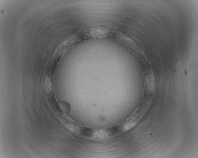 X0000070360705200606091032