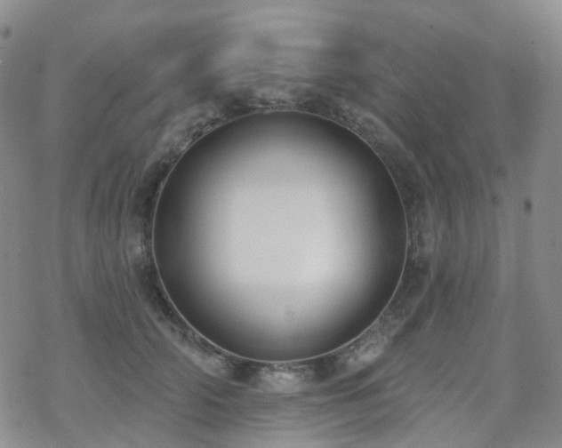 X0000070360706200606091032