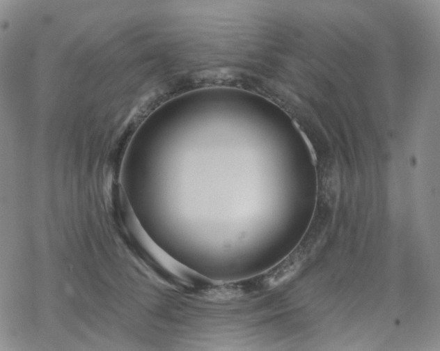 X0000070360708200606091032