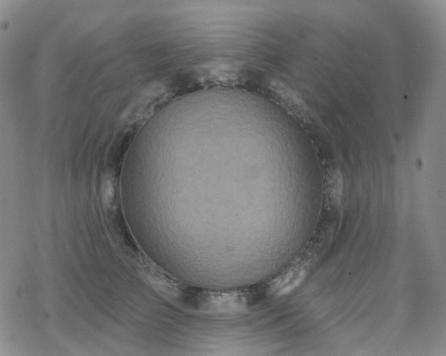 X0000070360709200606091032