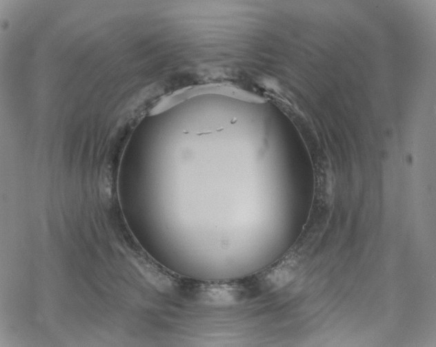 X0000070360710200606091032