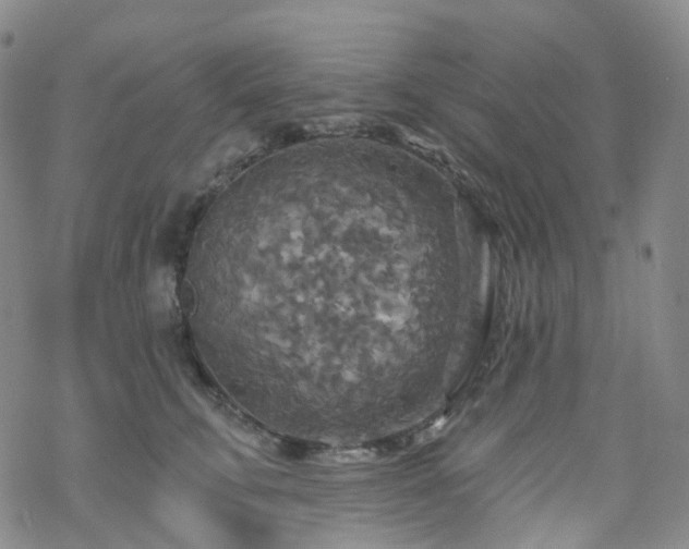 X0000070360711200606091032