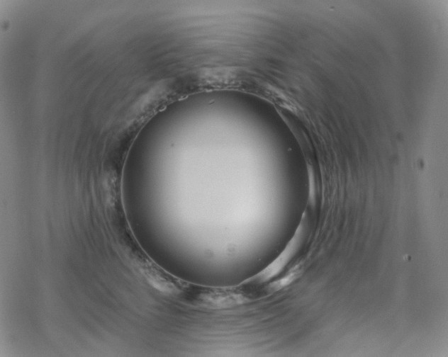 X0000070360712200606091031