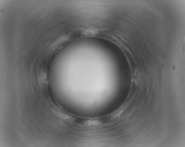 X0000070360714200606091031