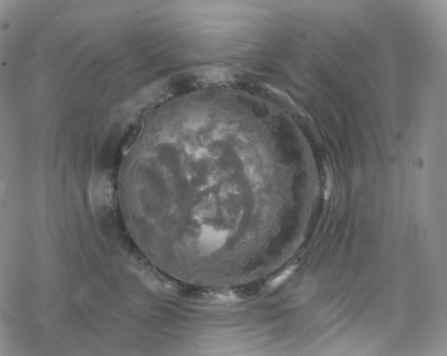 X0000070360715200606091031