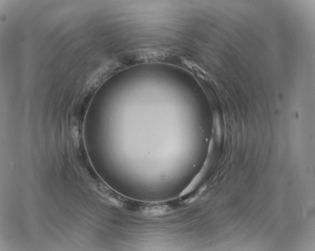 X0000070360716200606091031