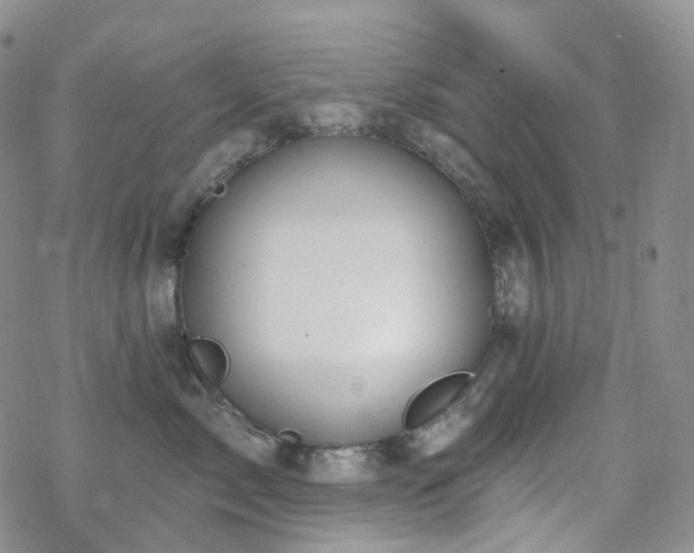 X0000070360717200606091031