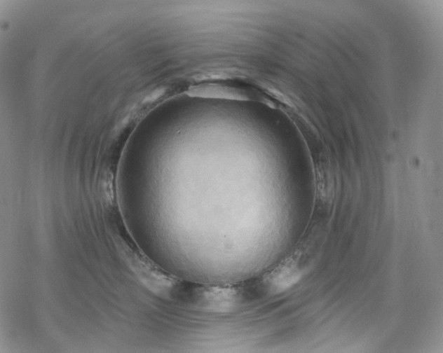 X0000070360718200606091031